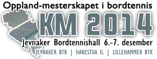 KM 2014-logo.